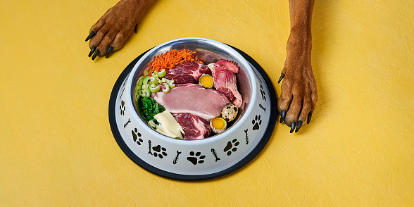 Making the Transition from Kibble to raw Dog Food
