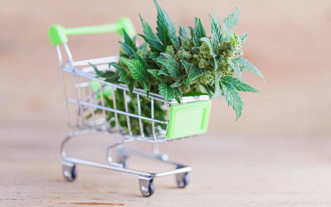 The way to purchase Weed On the internet