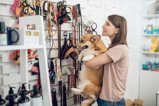 Quality Care & Professional Service: Treat Your Dog to the Best Groomers Around