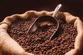 Kenya AA Extra Bold Coffee Beans