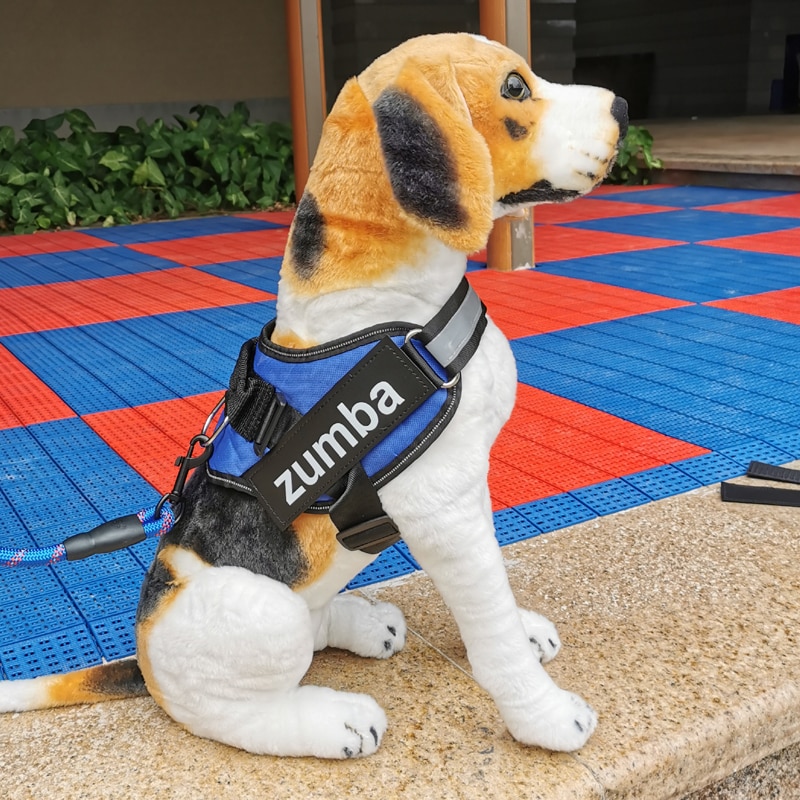 All that you should Know About No Draw Puppy Harnesses