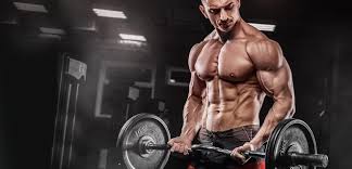 Trusted and Reliable: Canada Online Steroids for Serious Bodybuilders