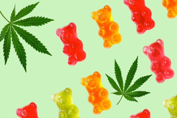CBD Gummies 101: What You Need to Know