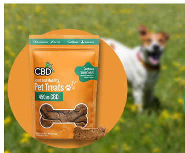 CBD Treats for Dogs: Finding the Ideal Dosage
