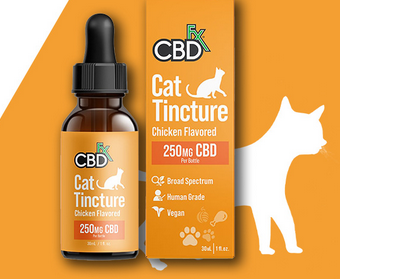The Benefits of Organic CBD Cat Treats for Your Beloved Pet