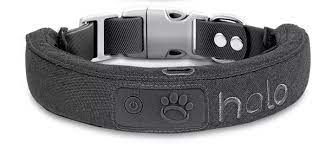 How the Halo Dog Collar is Redefining Pet Care