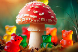Gourmet Fungal Treats: Amanita Mushroom Gummies’ Culinary Delight