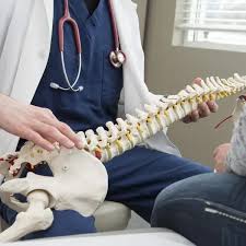 Best Spine Surgeon in Tampa: Comprehensive Care Guide